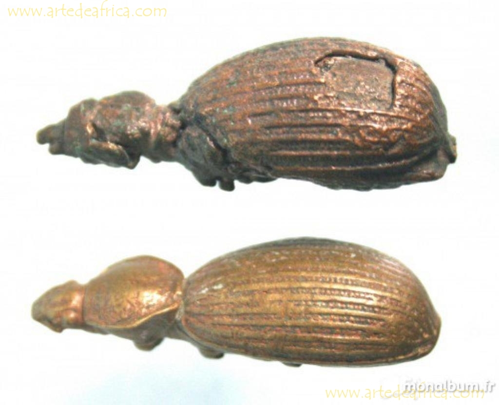 PESAS INSECTOS