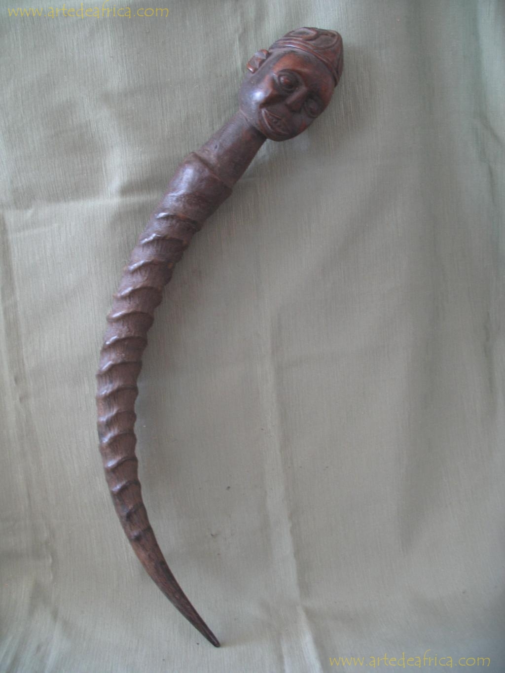 CUERNO DE ADIVINO