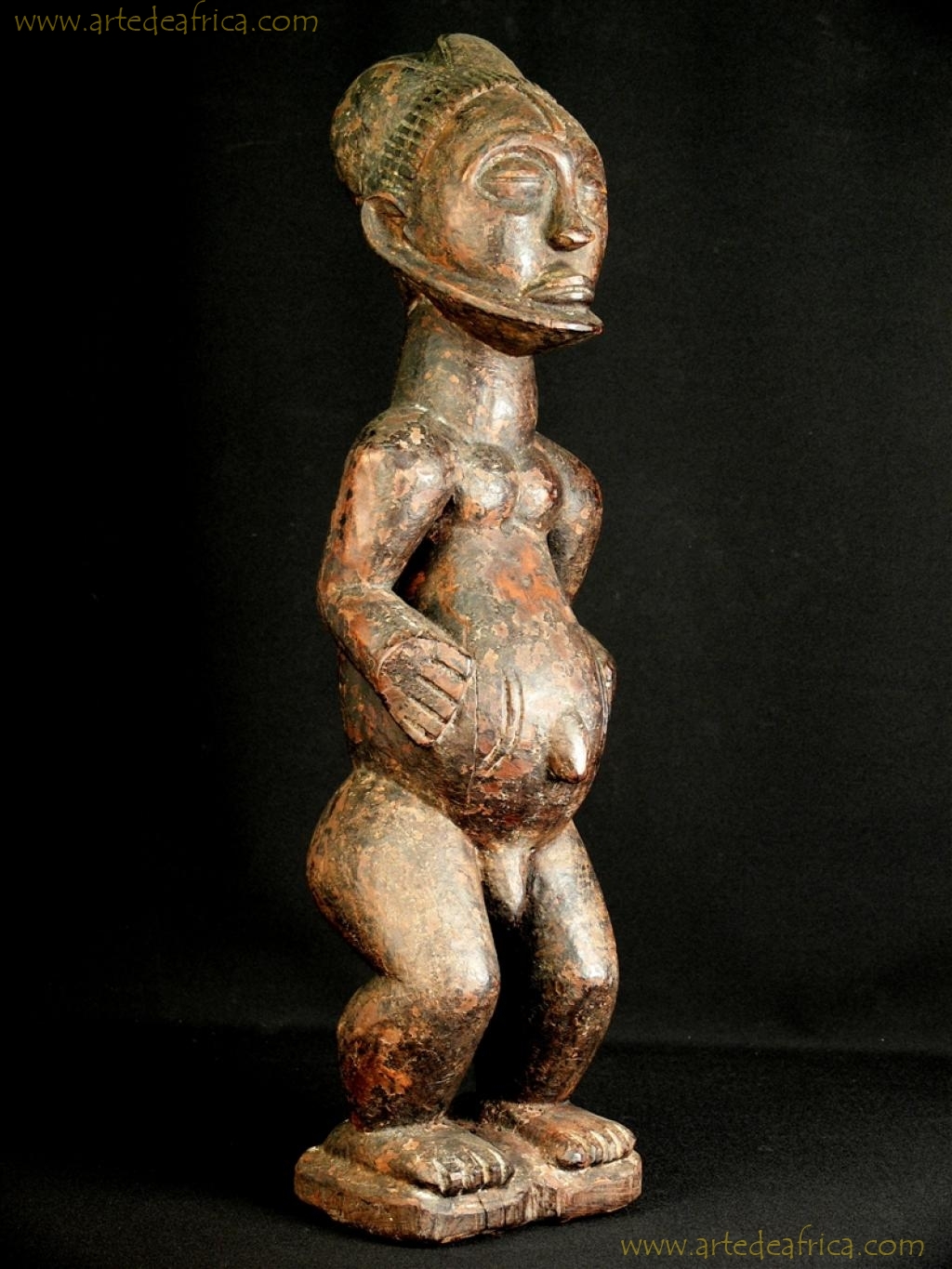 HERMAFRODITA