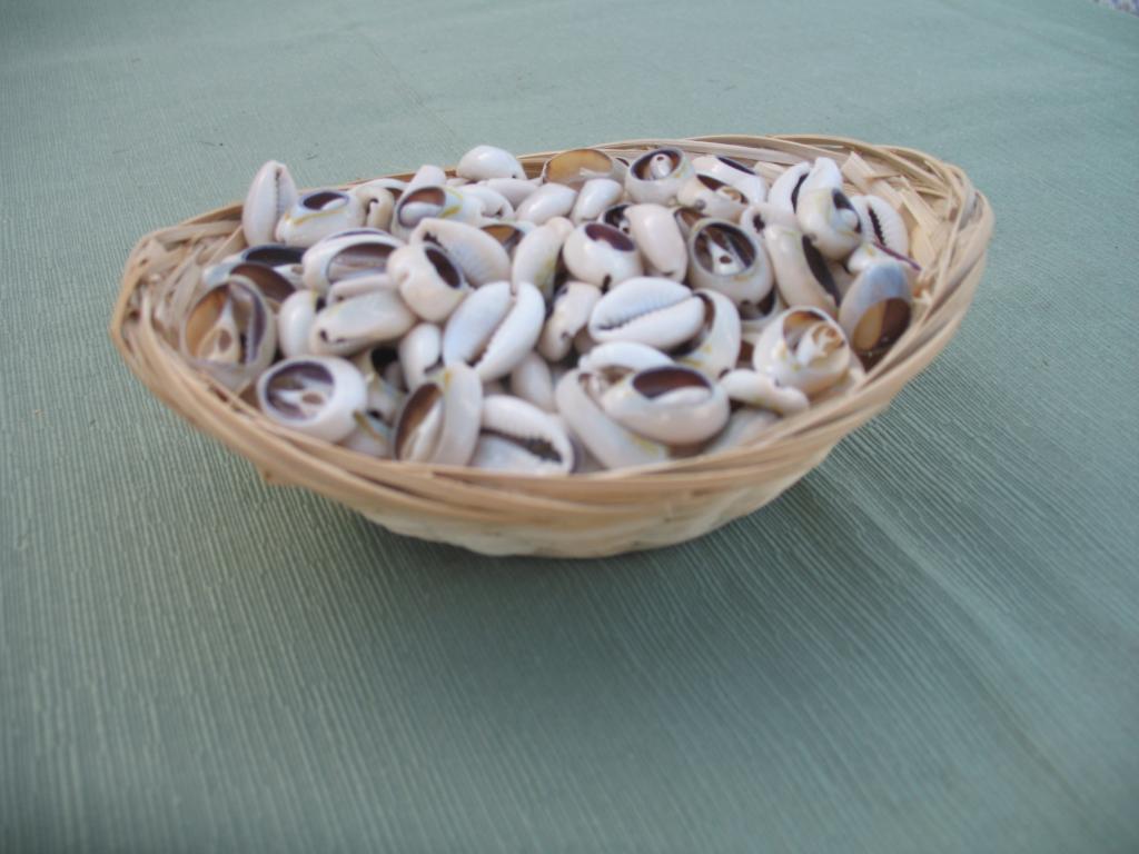 CAURIS MONEDA