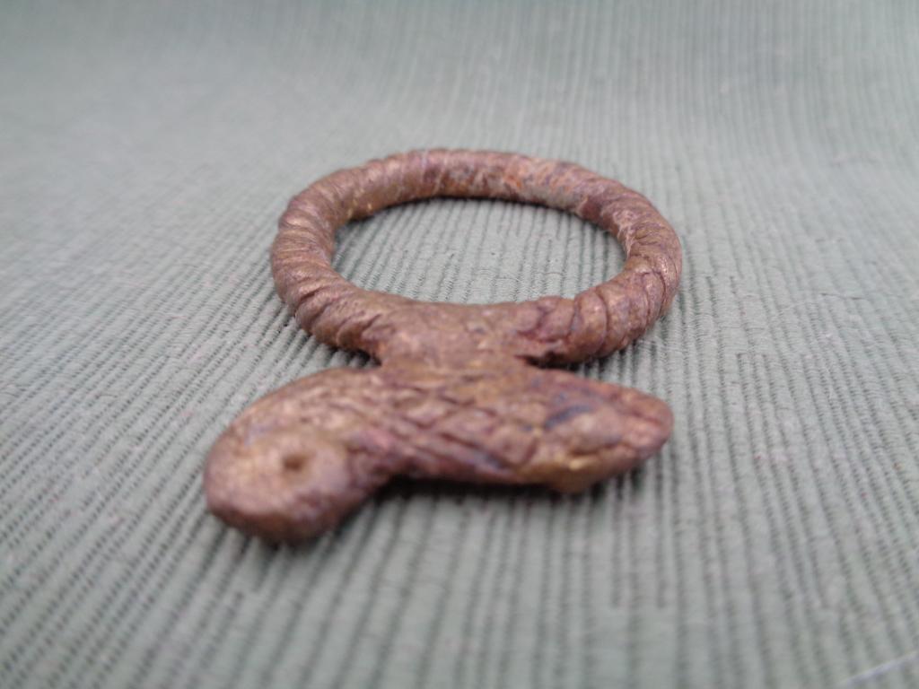 ANILLO CAMALEON