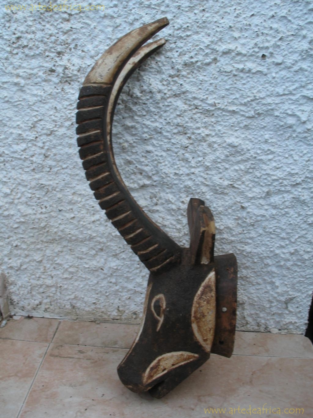 MASCARA CASCO DE HIPOTRAGO