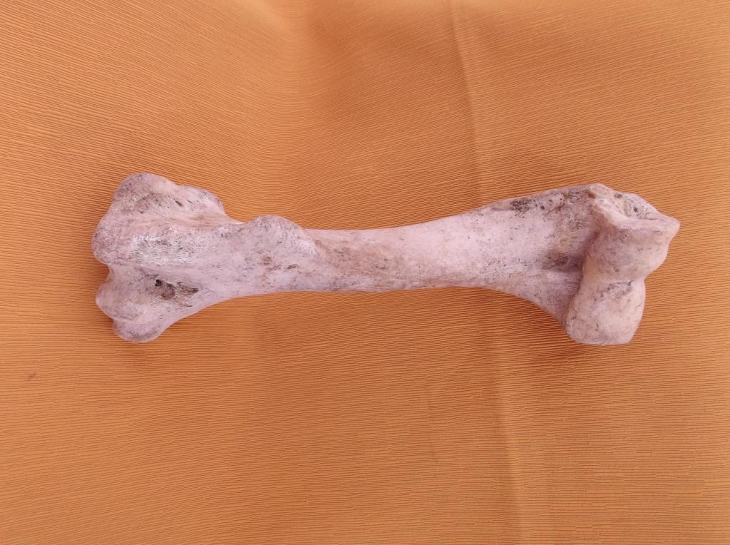 MUÑECA DE FERTILIDAD