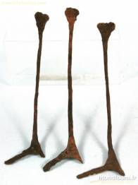 PALEOMONEDAS