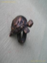 ANILLO TORTUGA