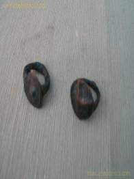 DOS ANILLOS