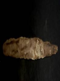 BOLI