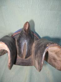 MASCARA VENTRAL HERMAFRODITA