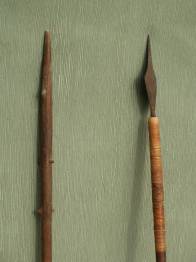 FLECHAS INDÍGENAS