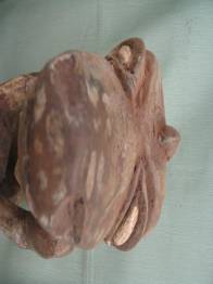 DEIDAD FEMENINA CABEZA DE COCODRILO