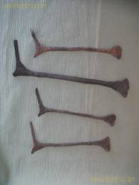 PALEOMONEDAS