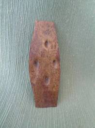 CHAPA DE LA AMISTAD