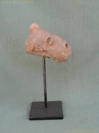 CABEZA DE CABALLO