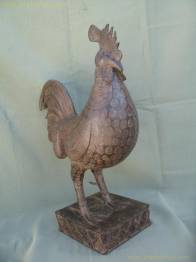 GALLO OKUKOR